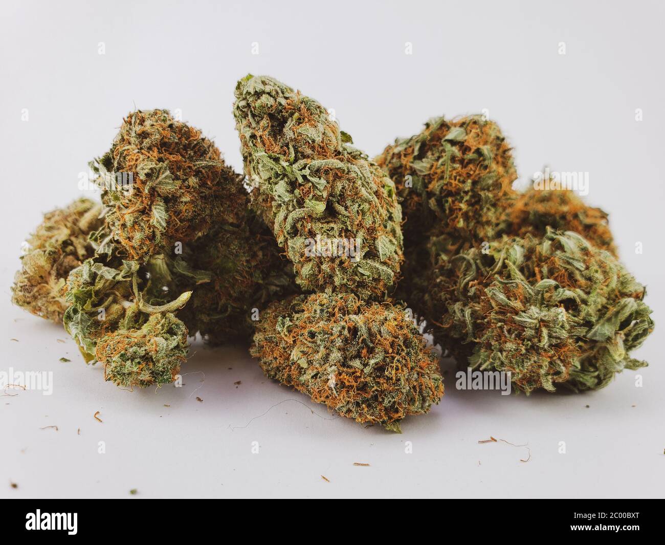Group of dried flower sativa strain cannabis buds in front of a white background Stock Photo
