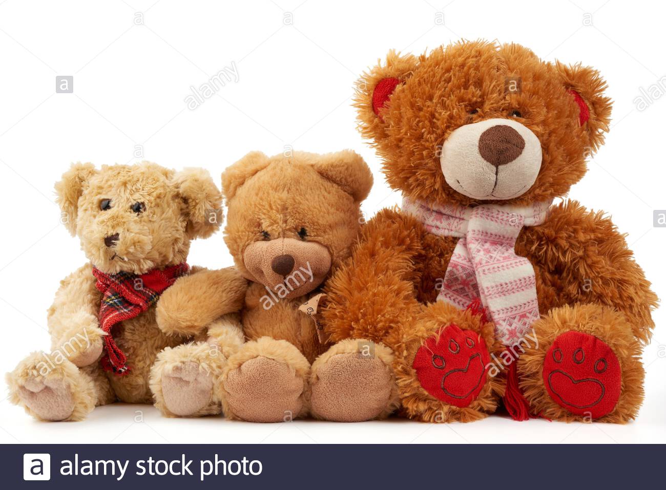 friendship teddy bears