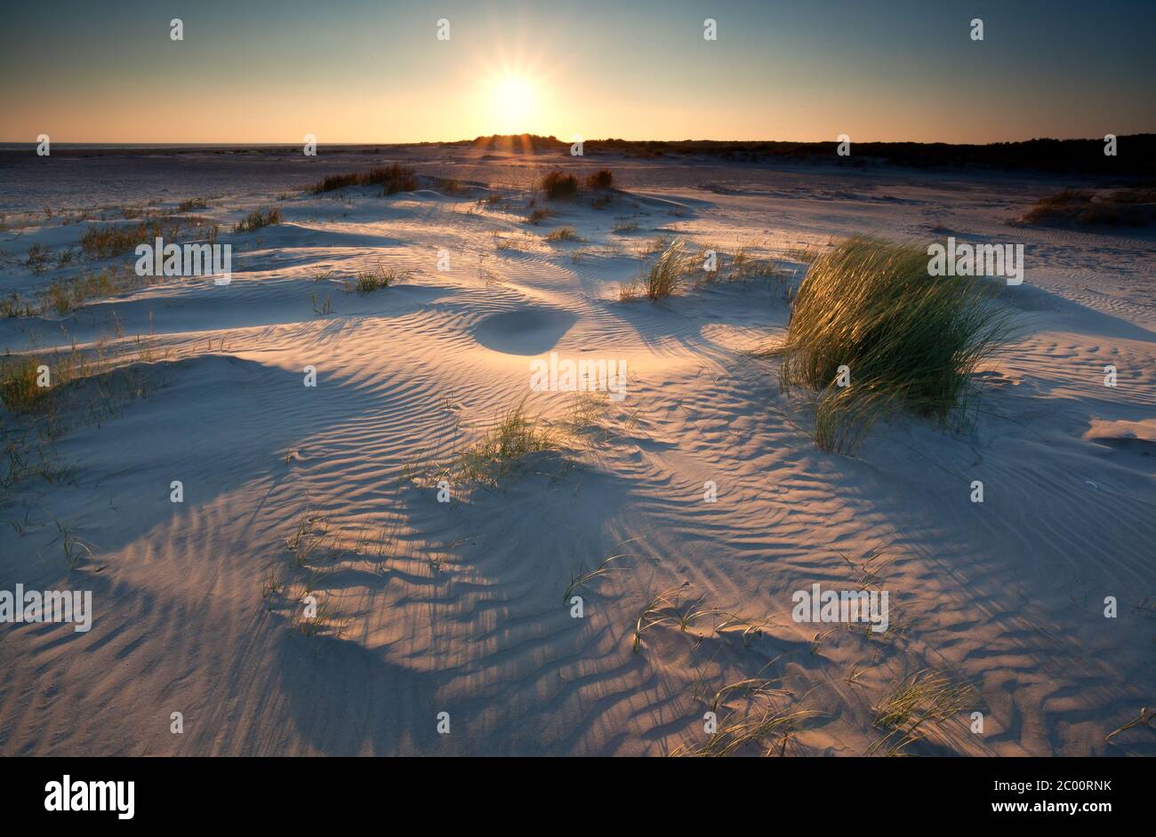 sunrise over sand dunes on North sea coast Stock Photo - Alamy
