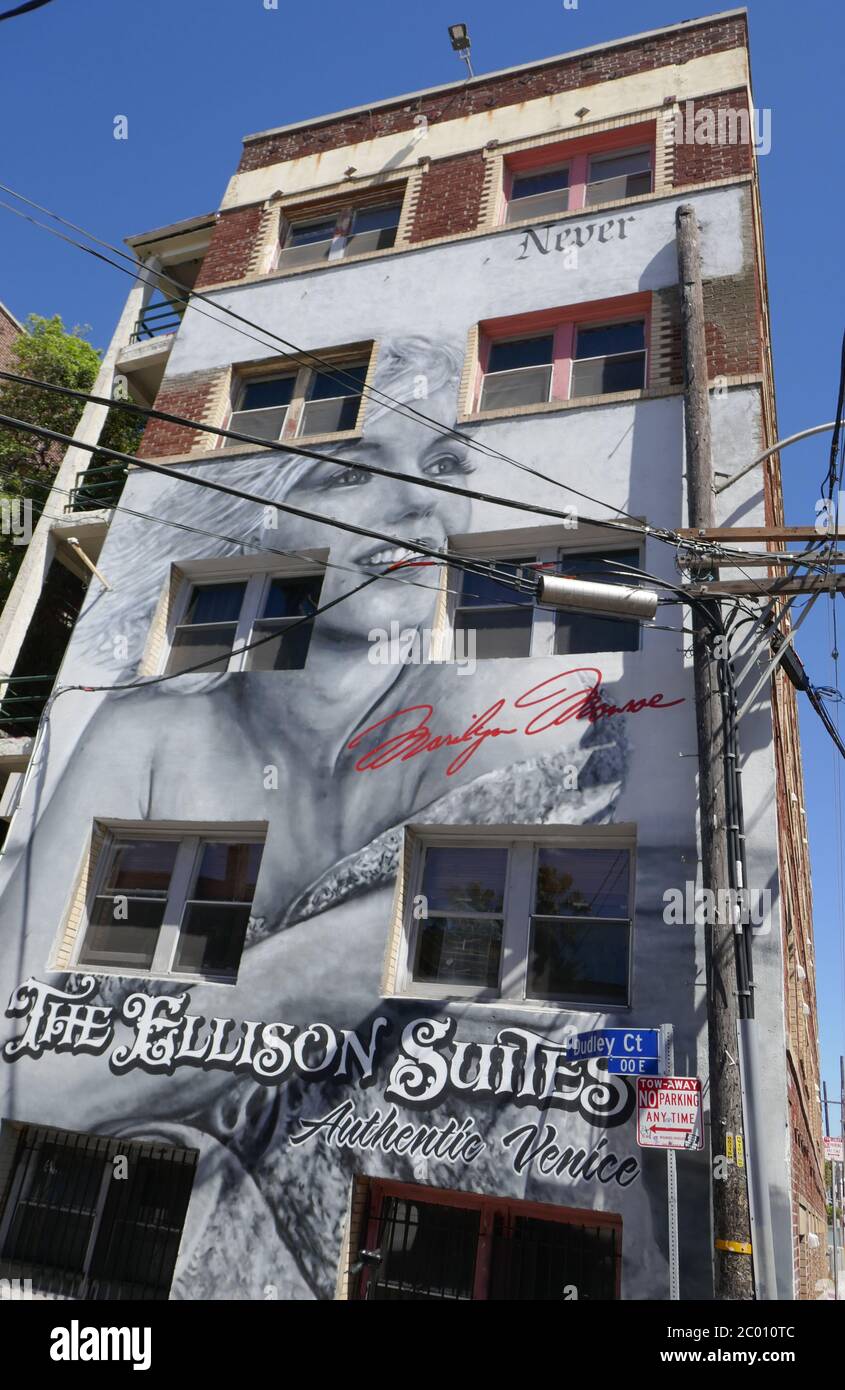 Venice, California, USA 9th June 2020 A general view of Ellison Suits