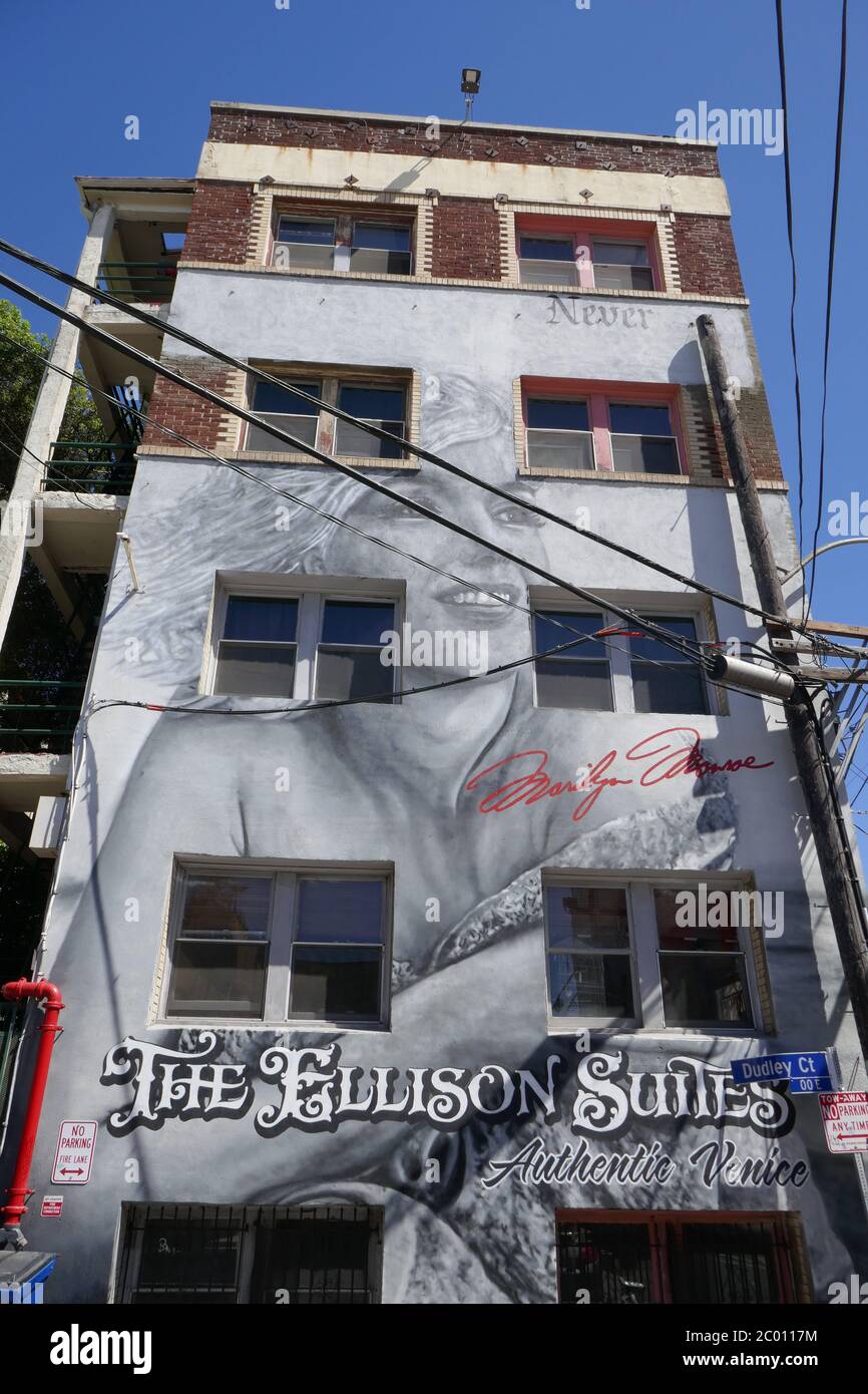 Venice, California, USA 9th June 2020 A general view of Ellison Suits