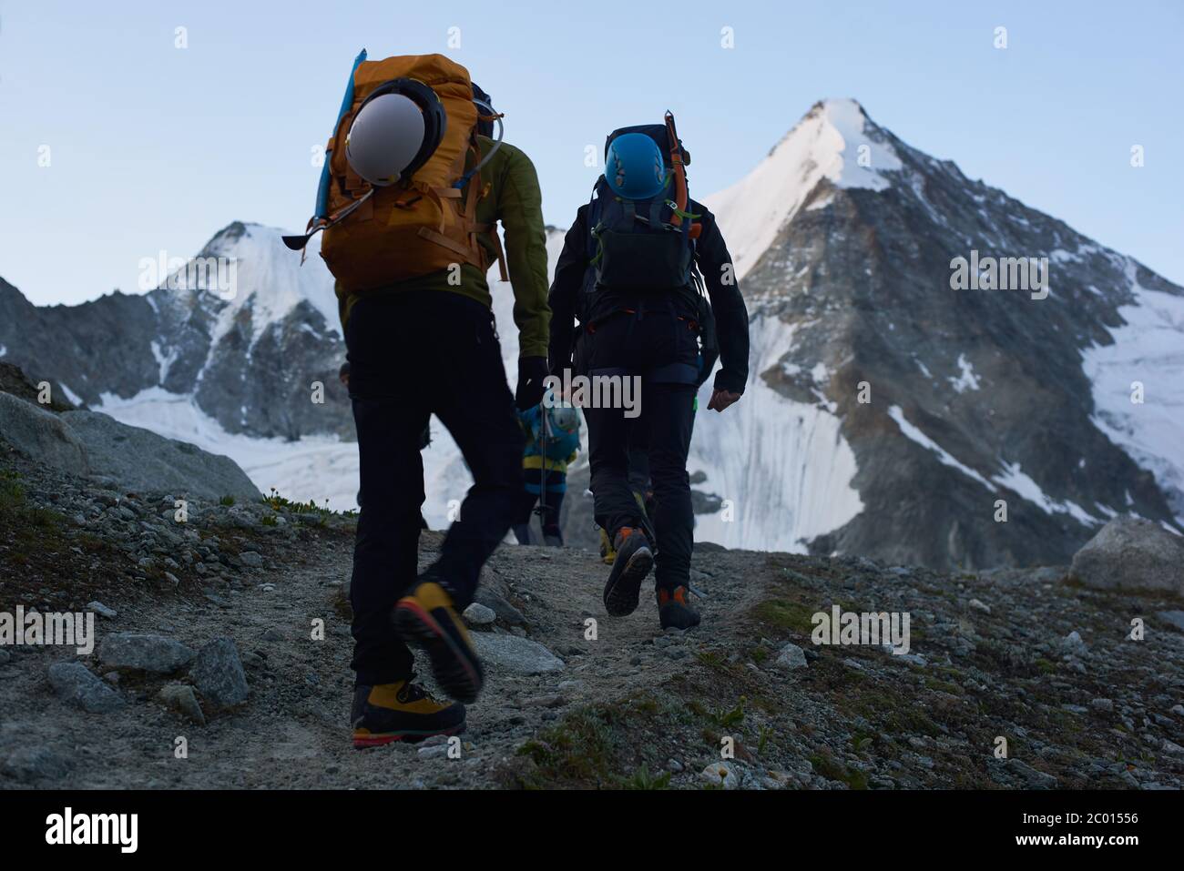 concept one backpacks