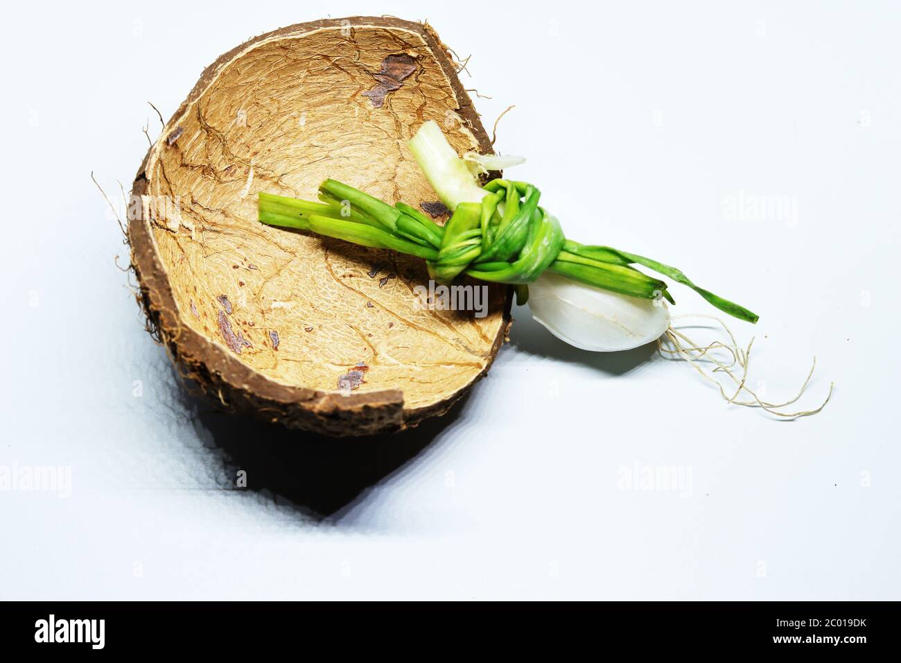 Spring Onion With Roots Fresh Green Spring Onion With Roots On An Isolated White Background ...
