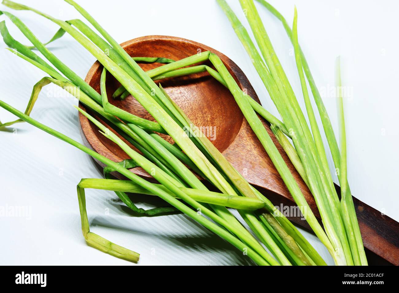 Spring Onion With Roots Fresh Green Spring Onion With Roots On An Isolated White Background ...