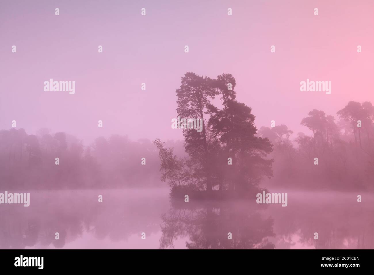 tree island on lake in sunrise fog Stock Photo