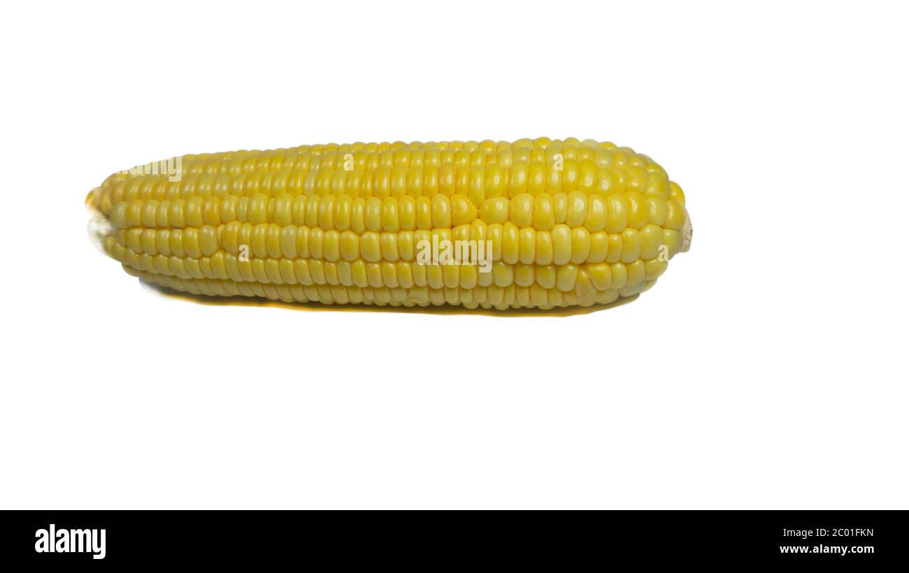 Is Ground Yellow Corn Good For Dogs