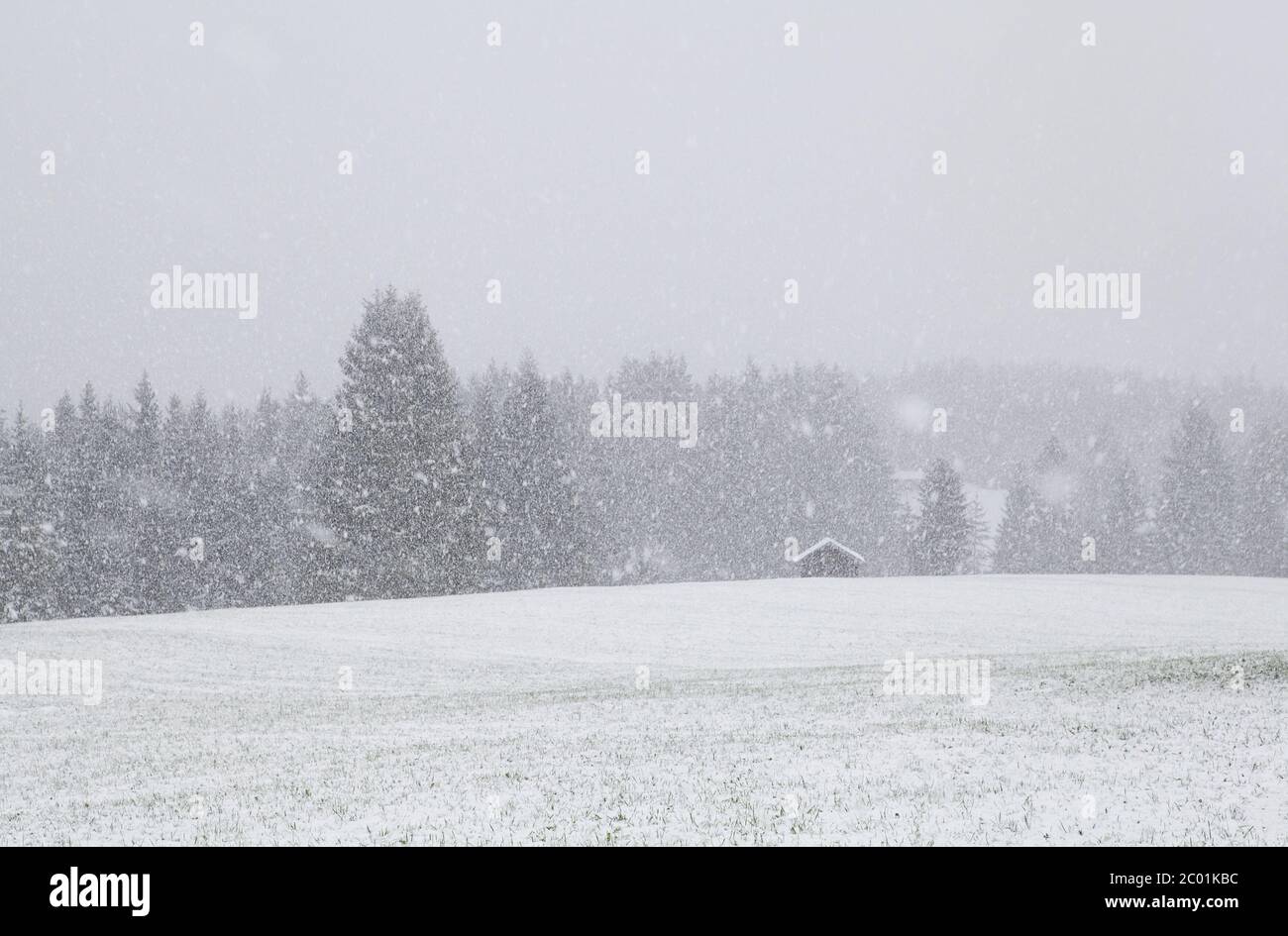 German snowstorm hi-res stock photography and images - Alamy