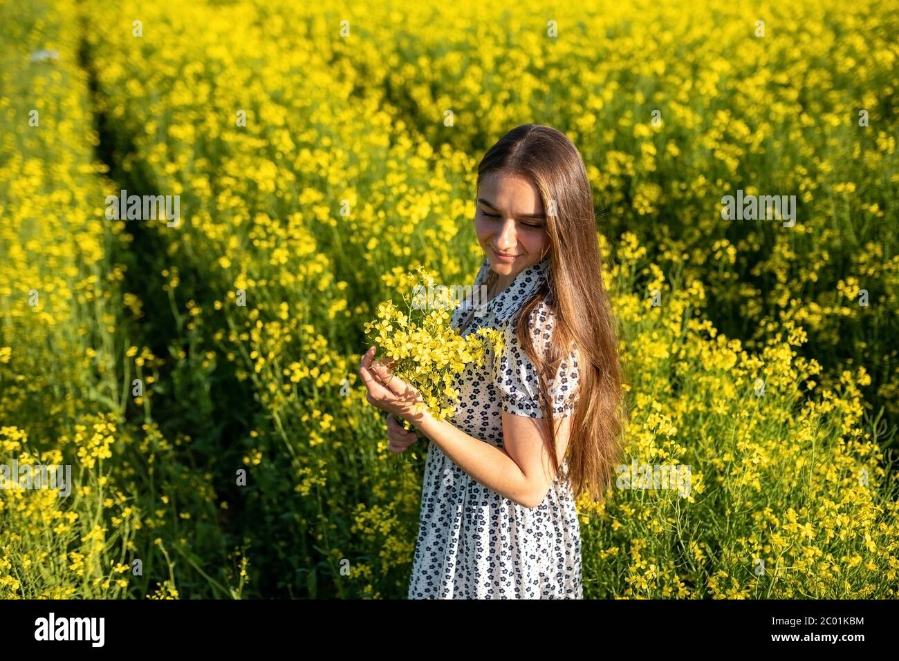 Girl in a rapeseed field in the sun Stock Photo - Alamy