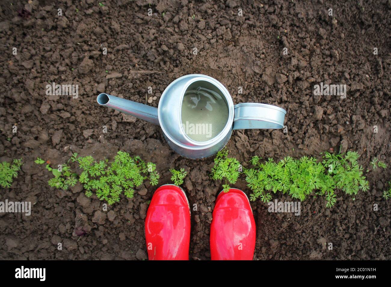 Rubber boots with watering can on grass, gardening concept Stock Photo
