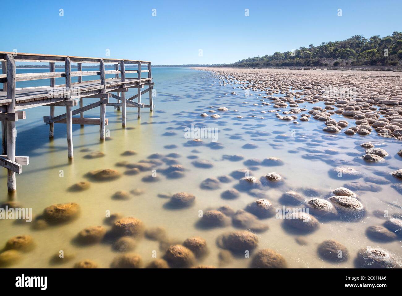 the thrombolites in lake clifton , near mandurah western australia
