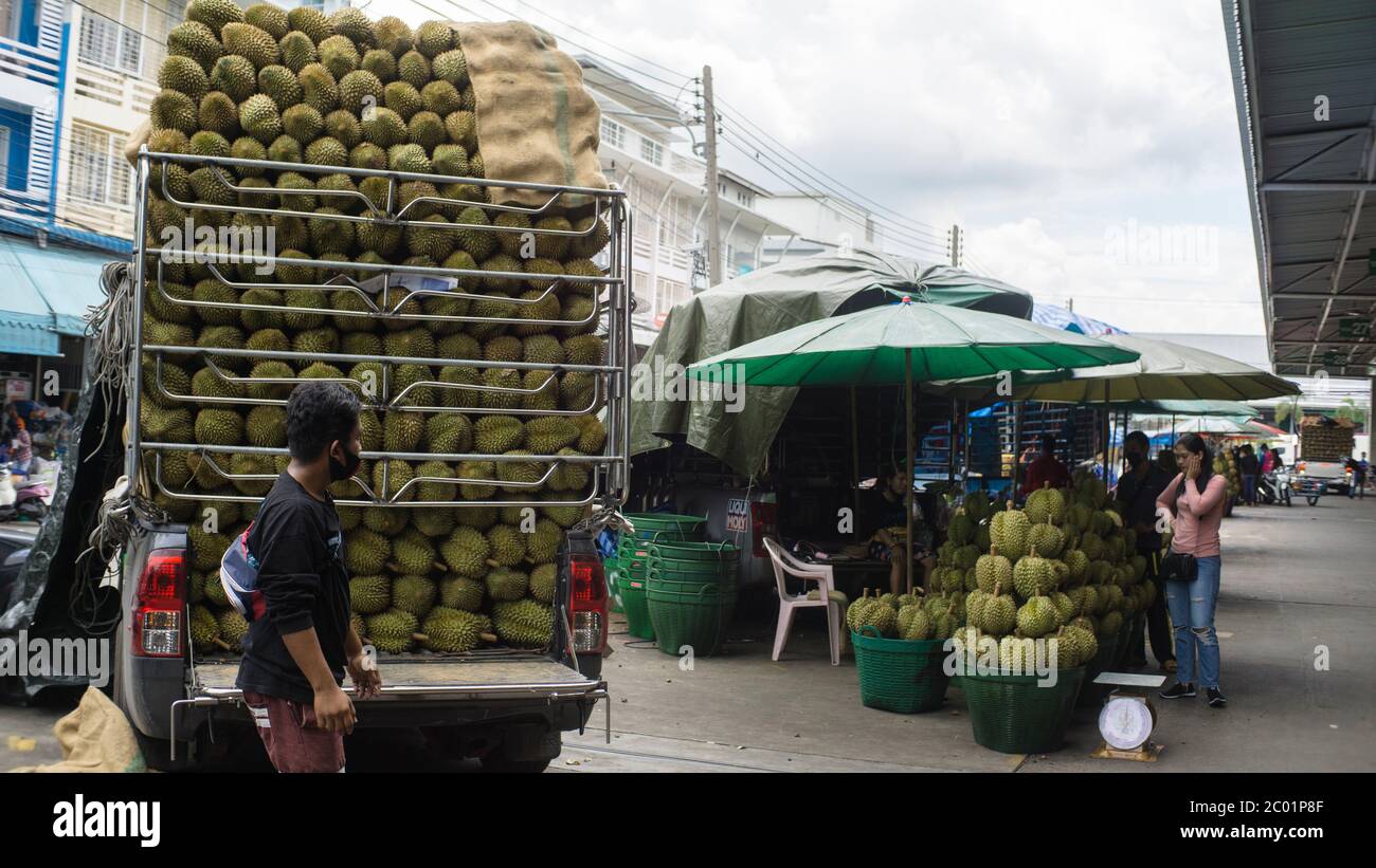 truck was full with durian fruits in the market, Bangkok Thailand Stock Photo