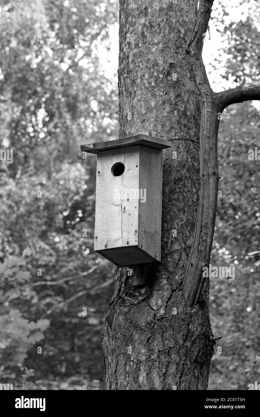 house for birds Stock Photo