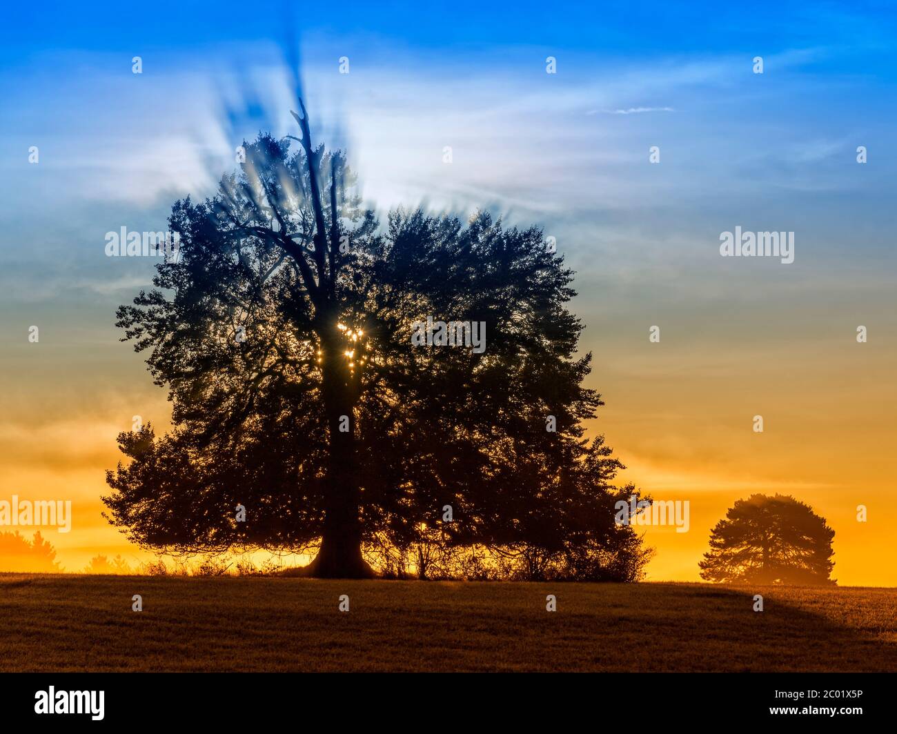 schwer high resolution stock photography and images alamy
