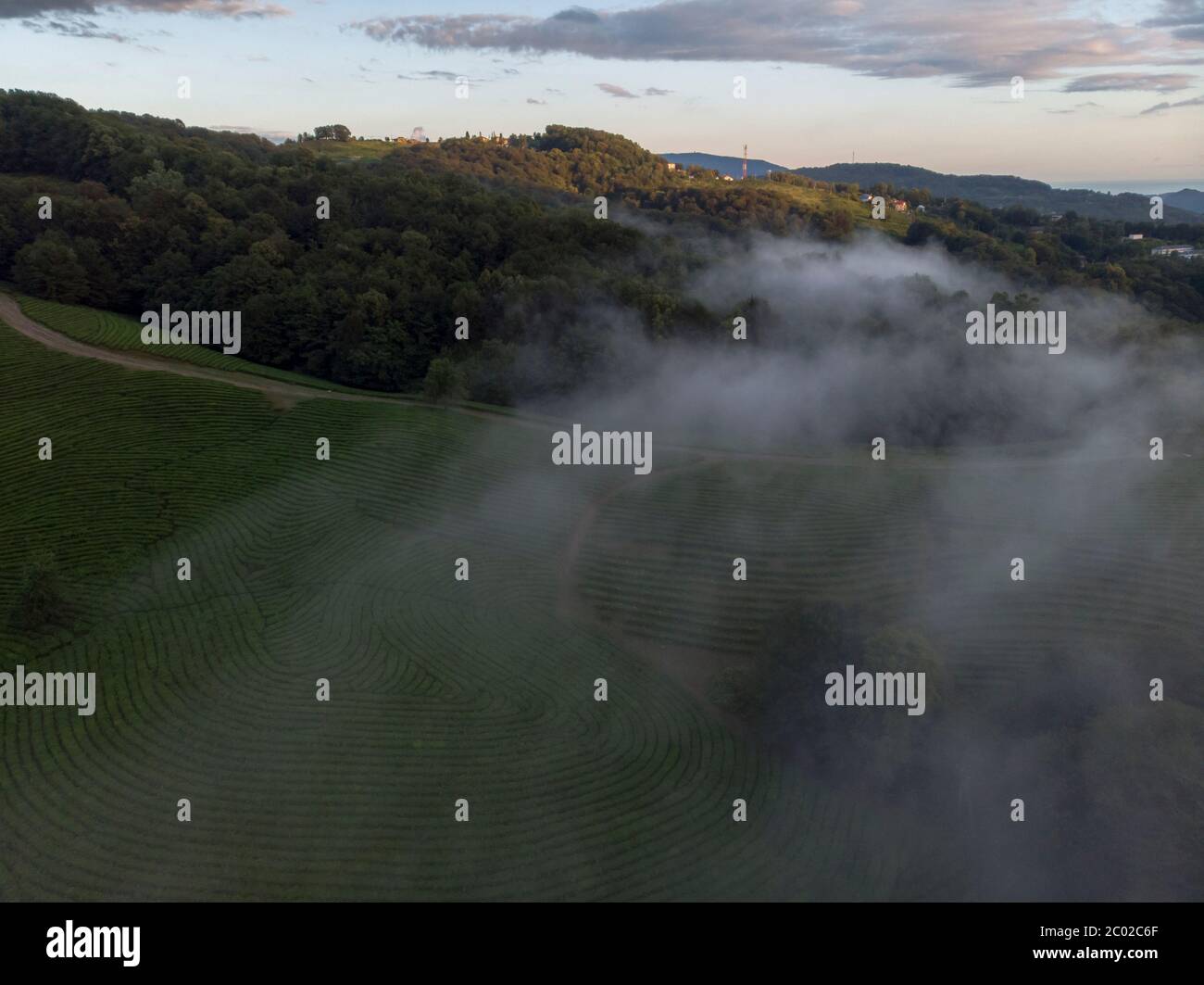 Mystic and foggy drone flight over the canopy primary tropical rainforest. Birds eye view Stock Photo