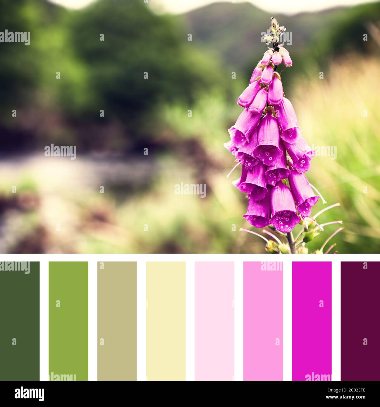 Colour chart hi-res stock photography and images - Alamy