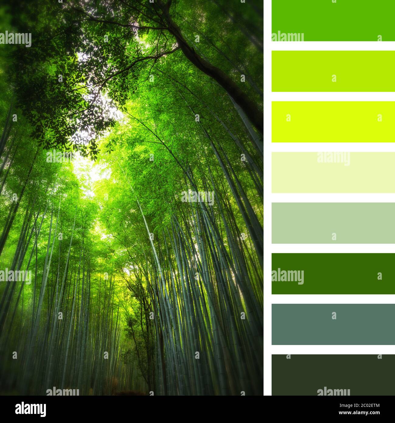 A cmyk color chart hi-res stock photography and images - Page 2 - Alamy