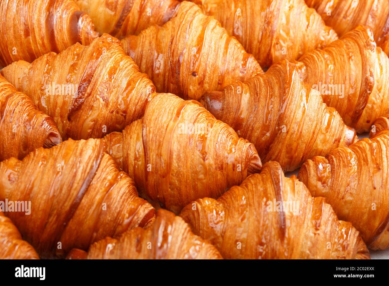 Seamless pattern of tasty french croissant, background, for designs and