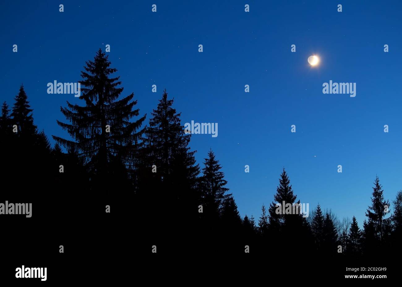 Moon night sky forest hi-res stock photography and images - Alamy