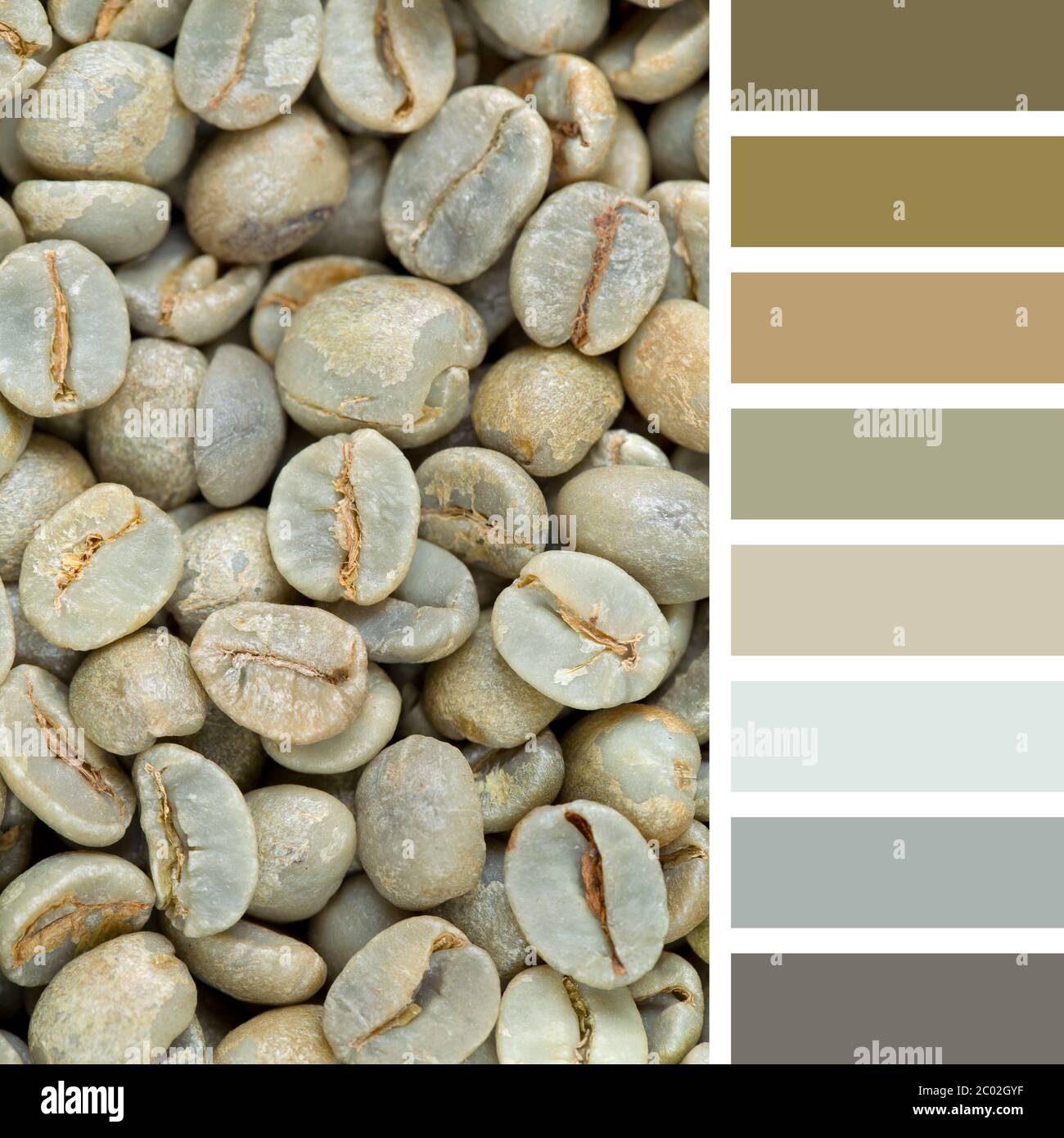 A background of raw green coffee beans. In a colour palette with