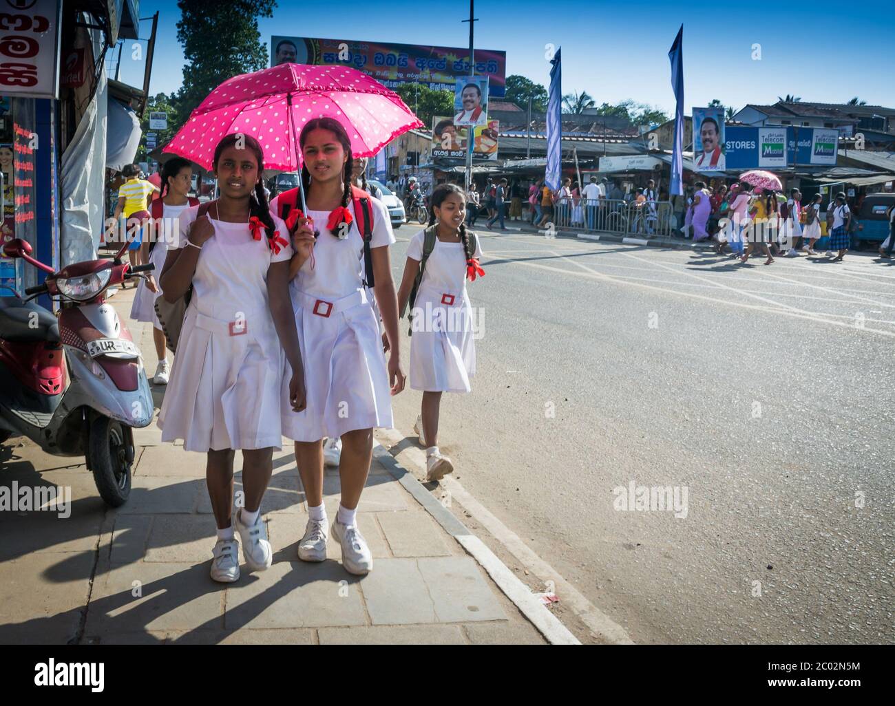 Schoolgirls in white uniforms, Sri Lanka Stock Photo Alamy