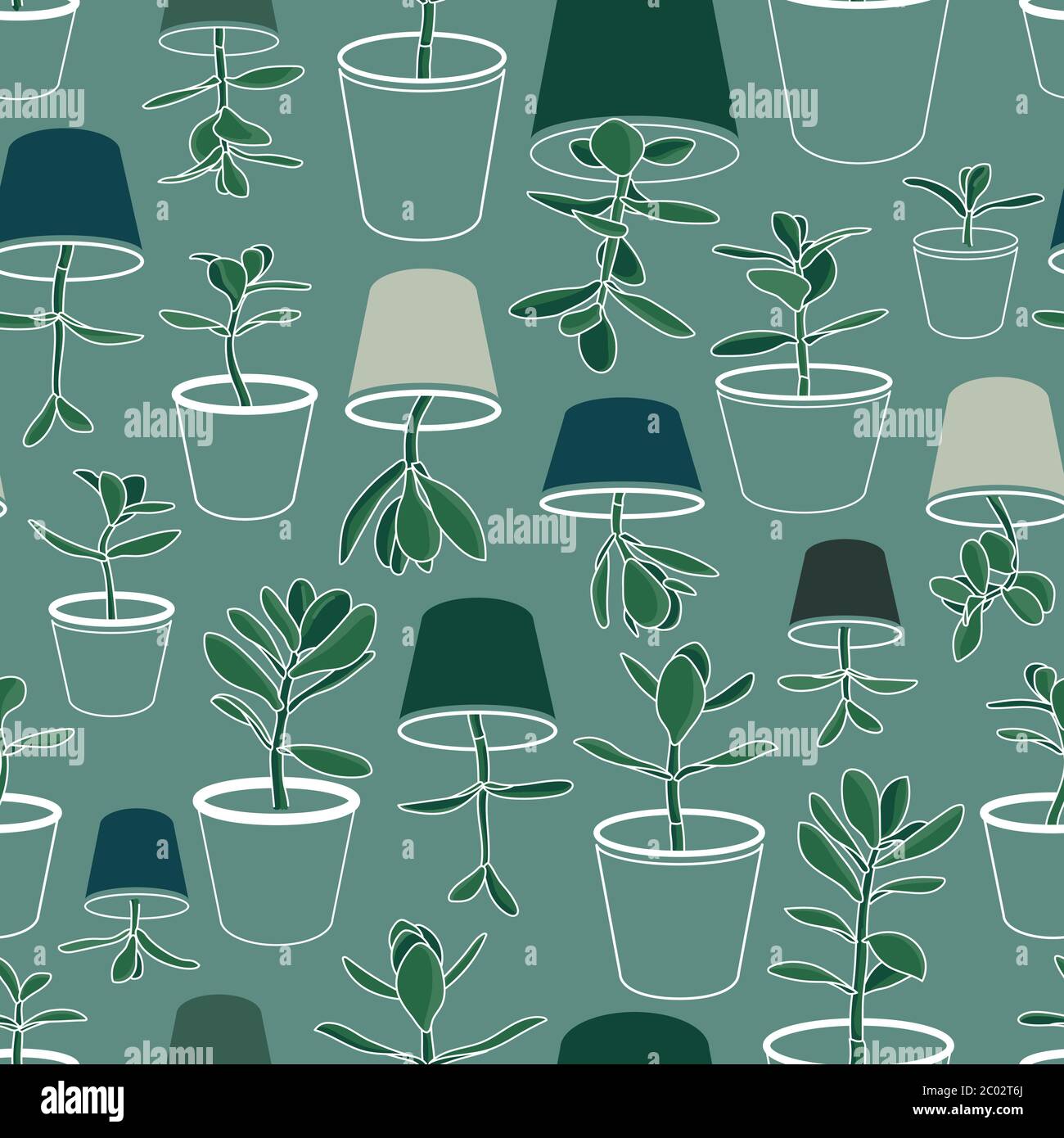 Jade Plants in Pots Colorful Vector Drawing Seamless Pattern. Money Plant Design. Greenery Stock Vector