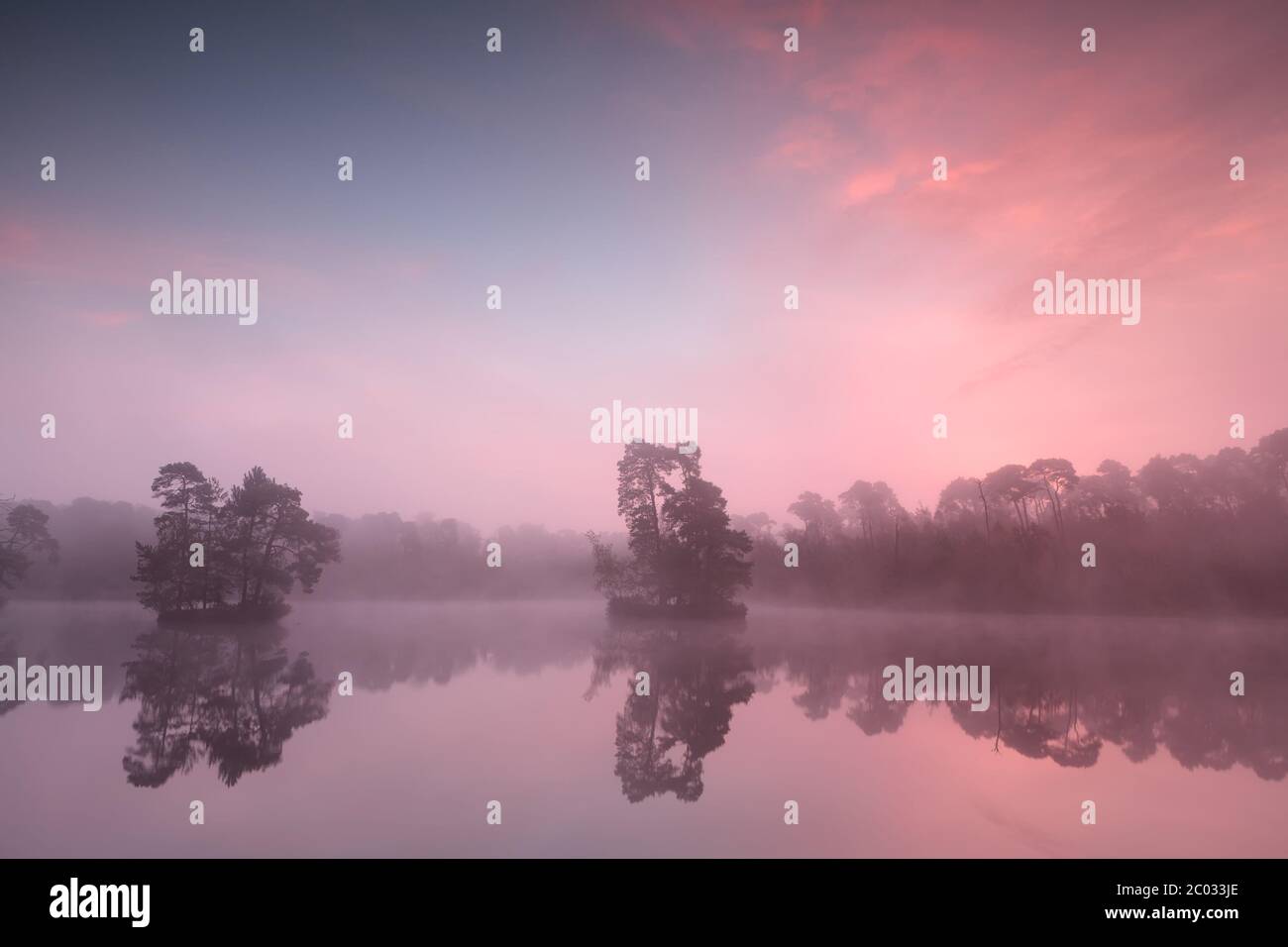 beautiful pink misty sunrise over wild lake Stock Photo
