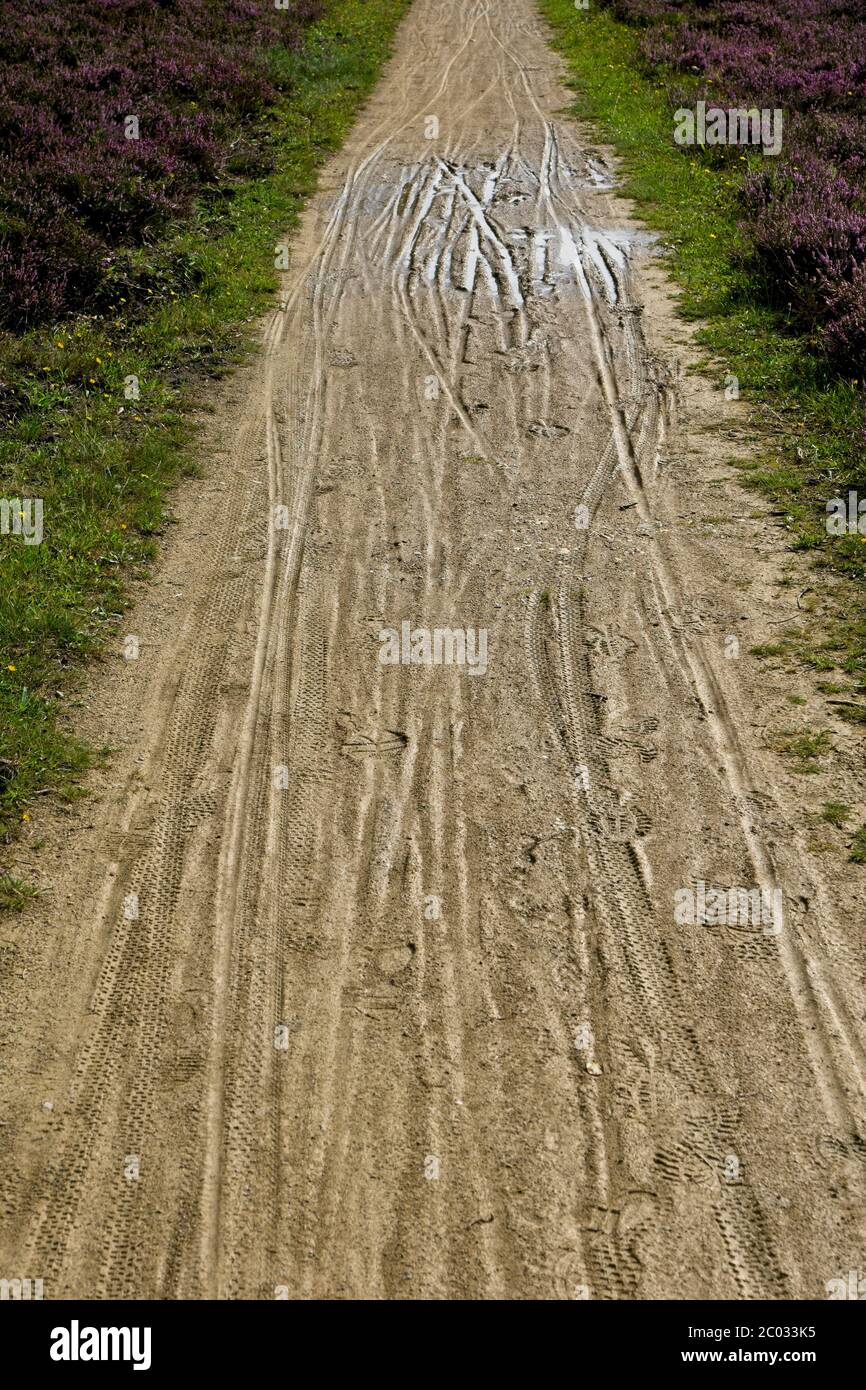 Bumpy Mtb Track Muddy bicycle path with tyre tracks Stock Photo - Alamy
