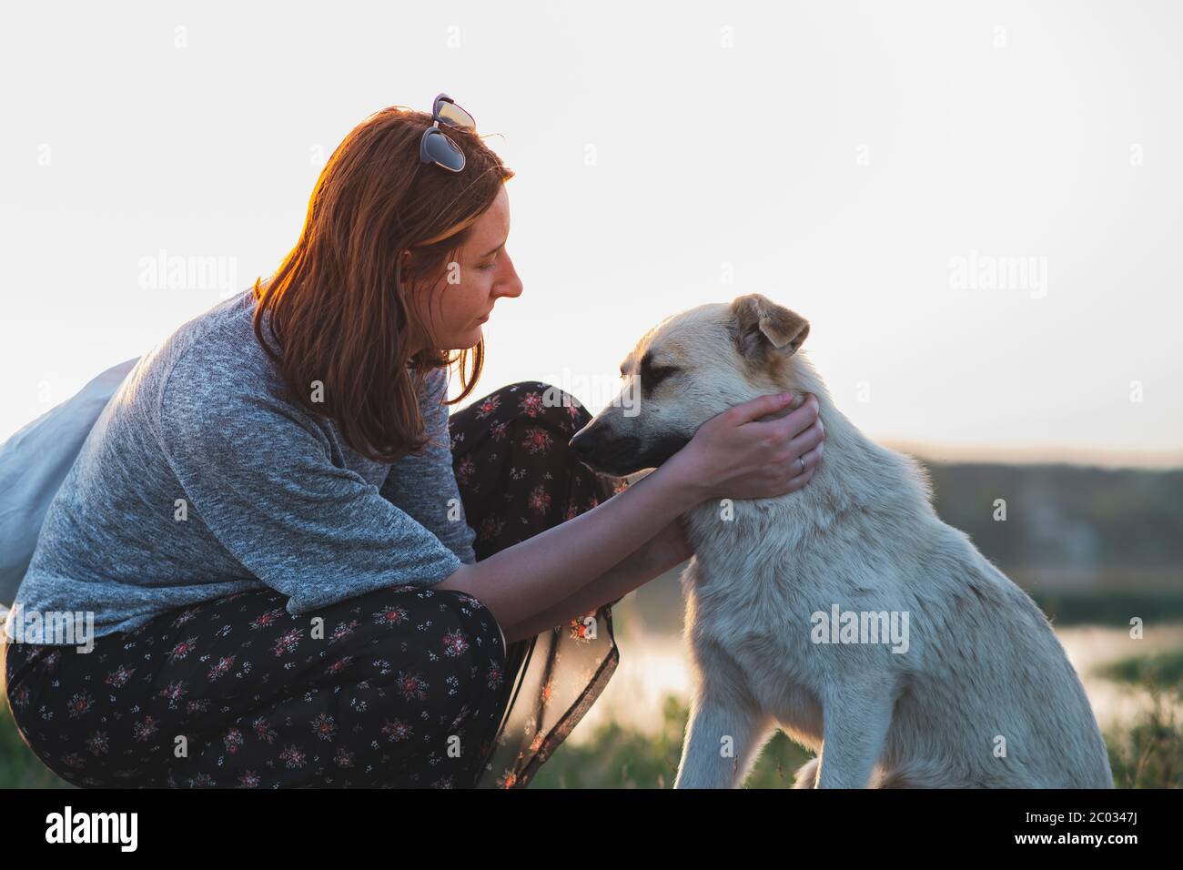 Woman and dog in the nature at sunset. Human and pet relationship,  communication and interaction Stock Photo - Alamy