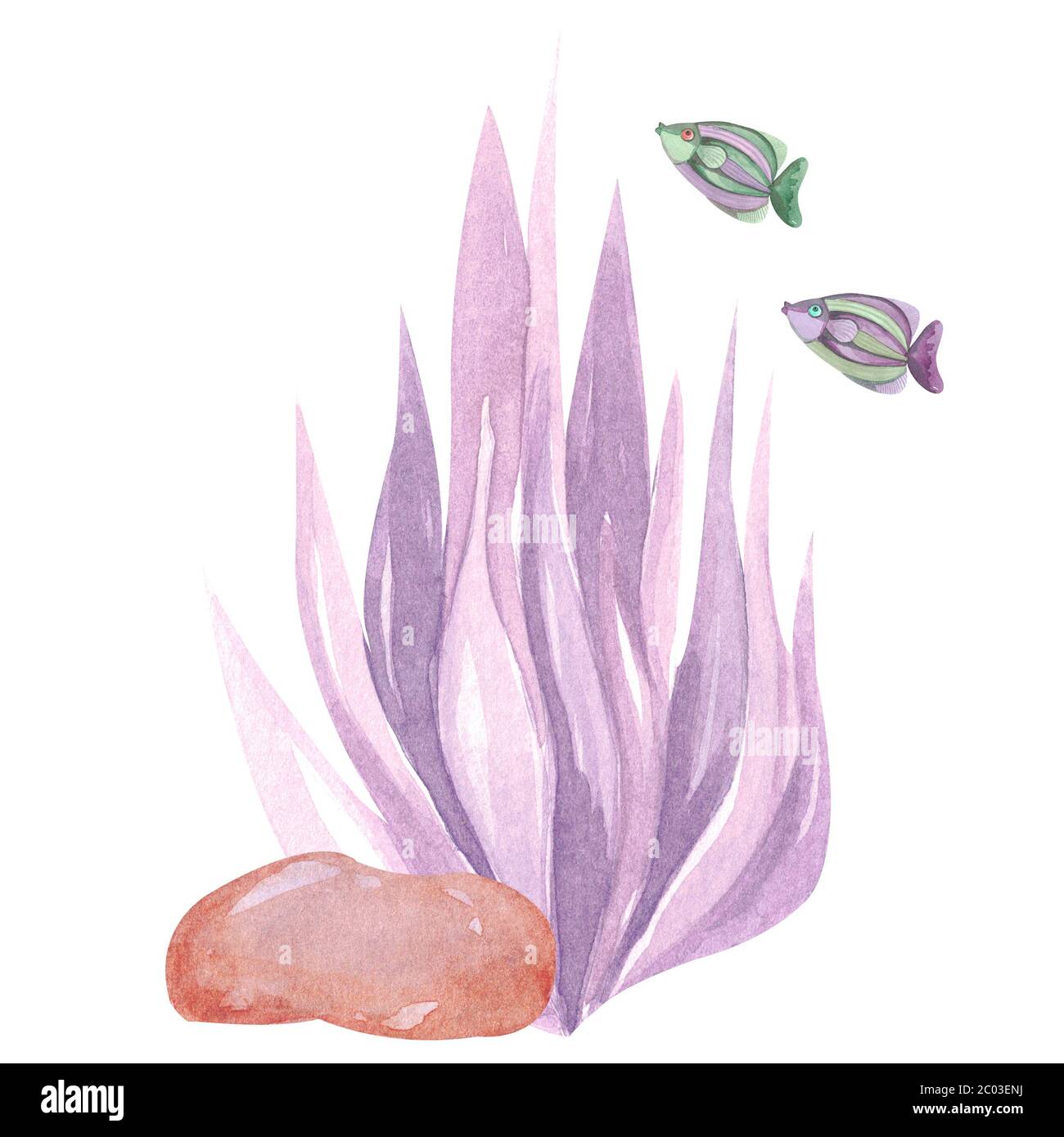 Hand-painted composition of sea coral purple brown stone fish on a white background. Watercolor illustration of the underwater world Stock Photo
