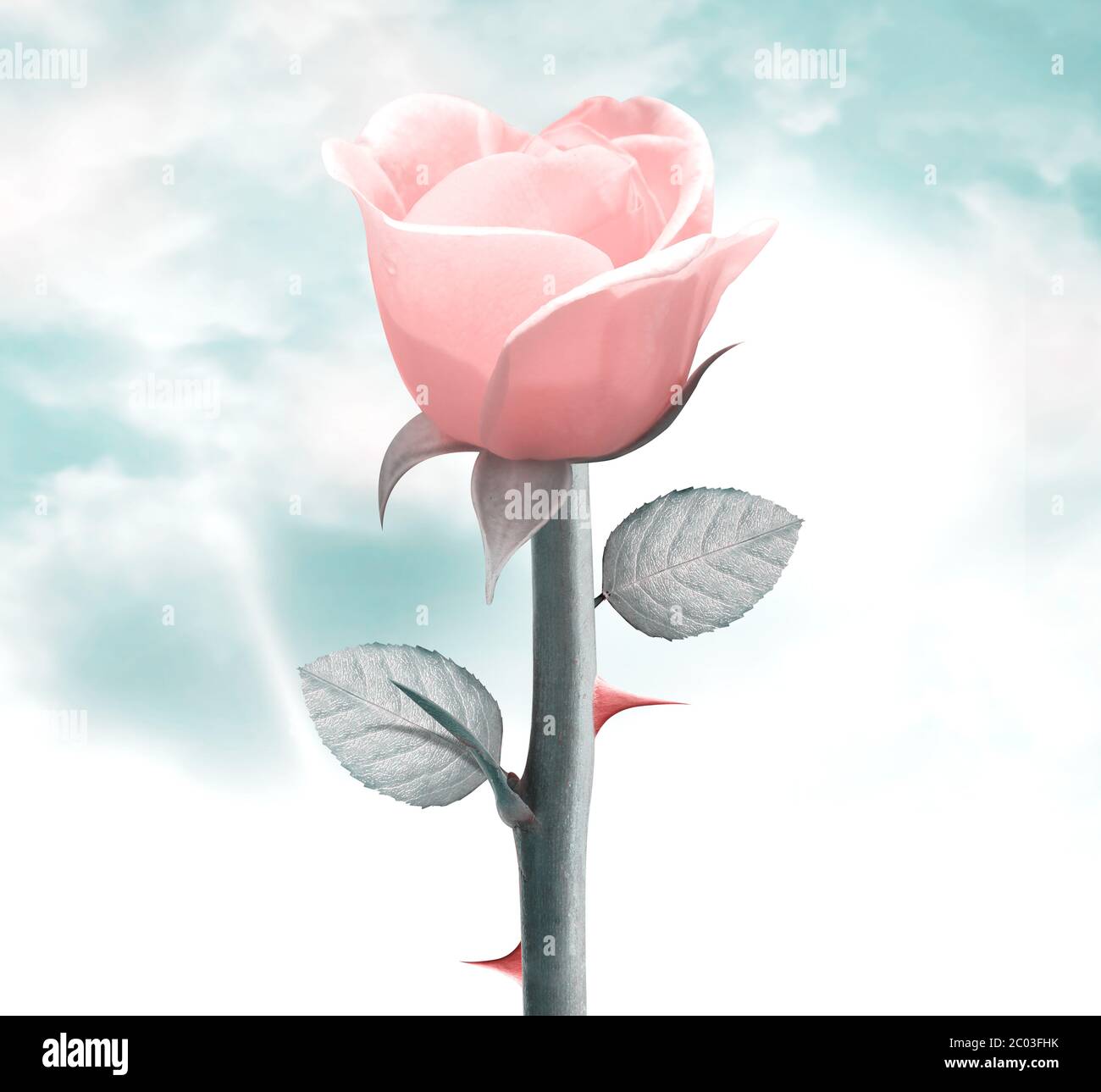 Flower Jealousy Hi Res Stock Photography And Images Alamy