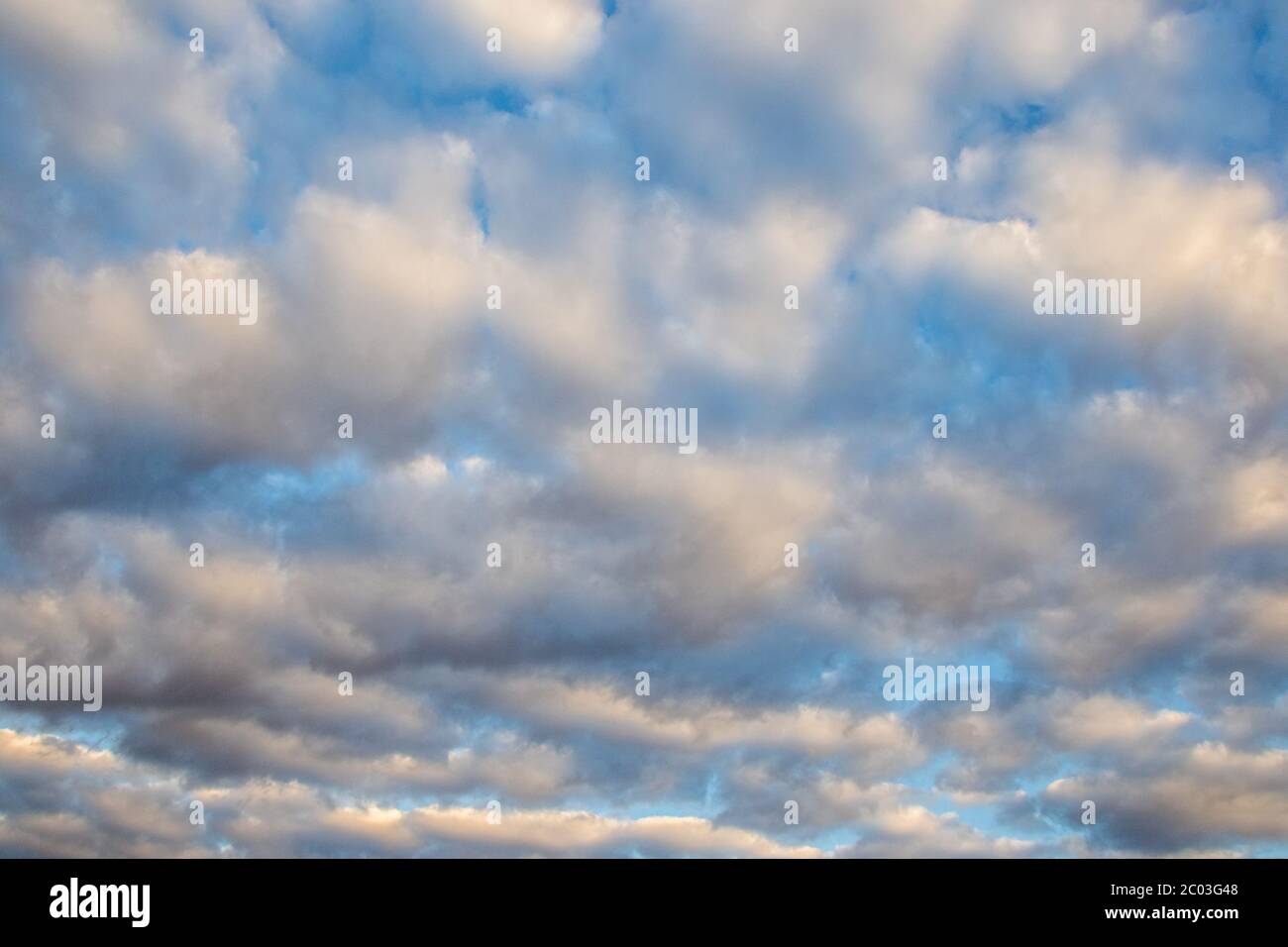 Weather for south africa in june