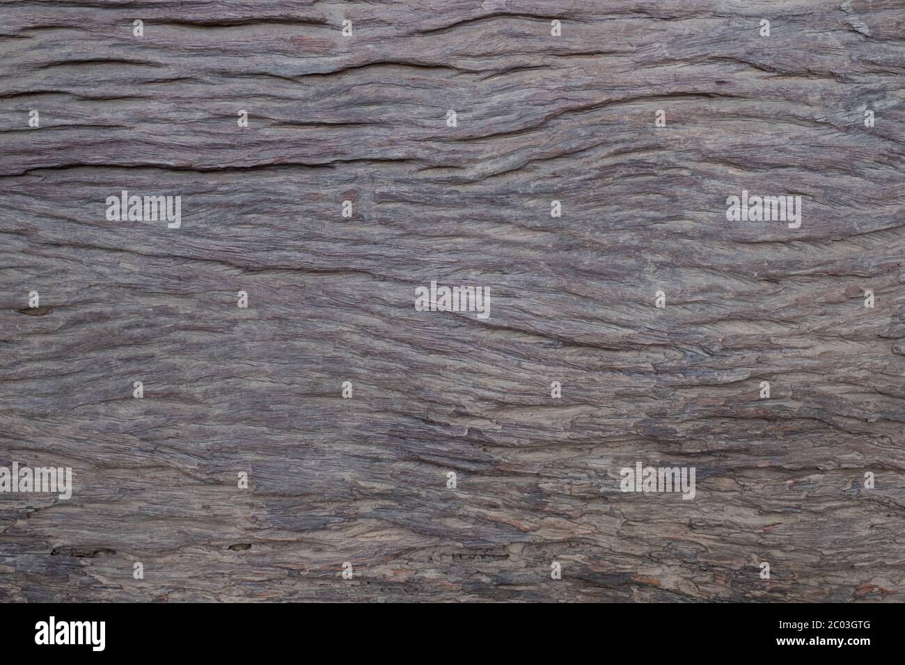 Old weathered wood background texture for design Stock Photo