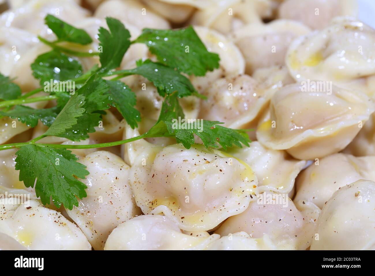 Pelmeni with butter and ground pepper, with a parsley branch Stock Photo