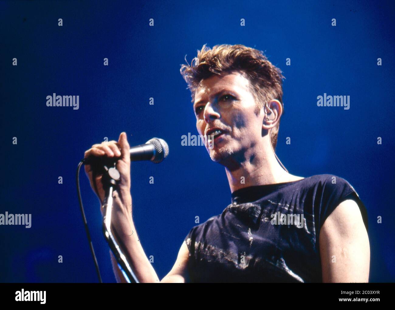 David Bowie in concert at Wembley Arena,London 17th November 1995 Stock Photo