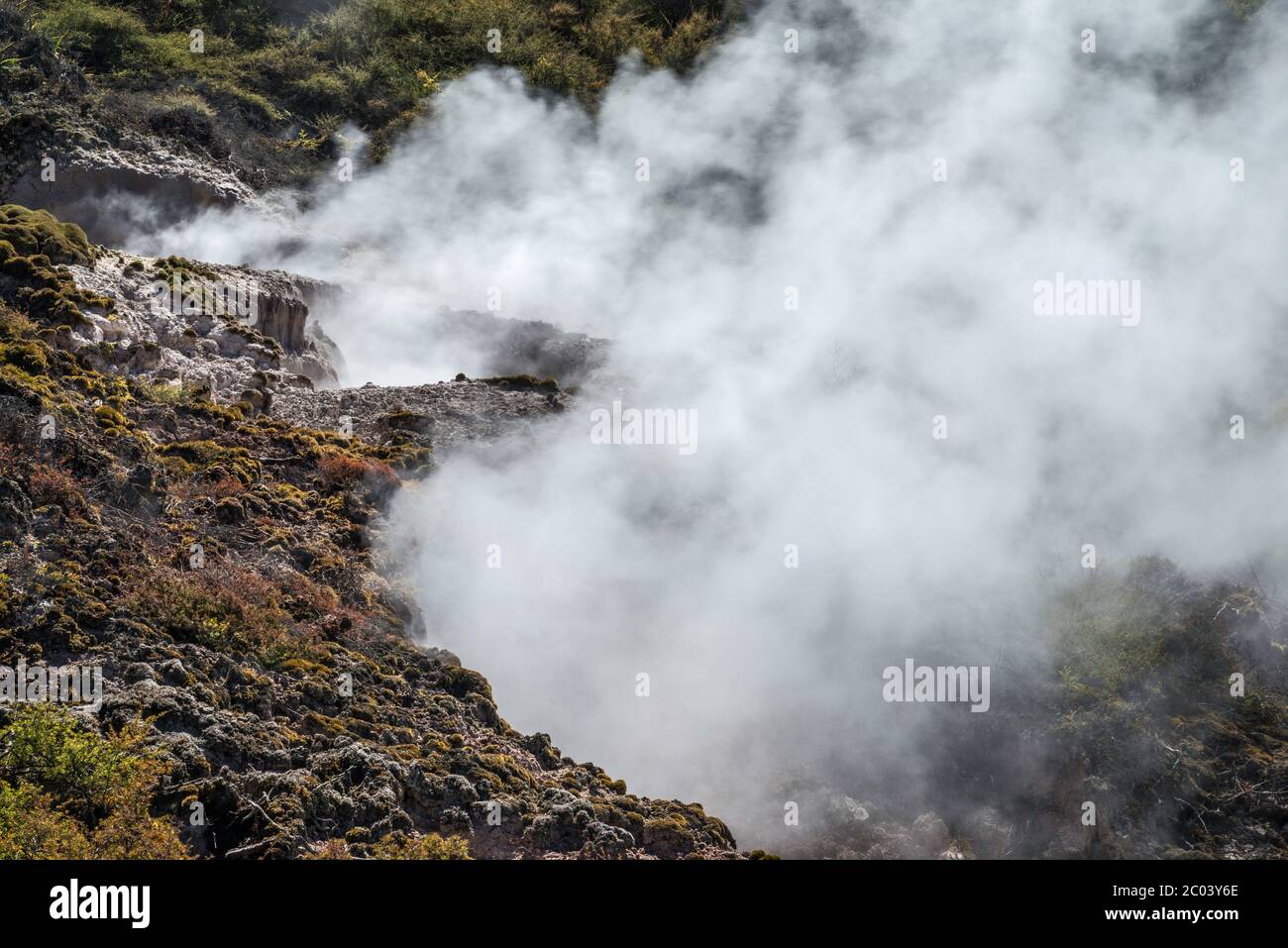 Steam vents at Craters of the Moon Thermal Area, Waikato Region, North