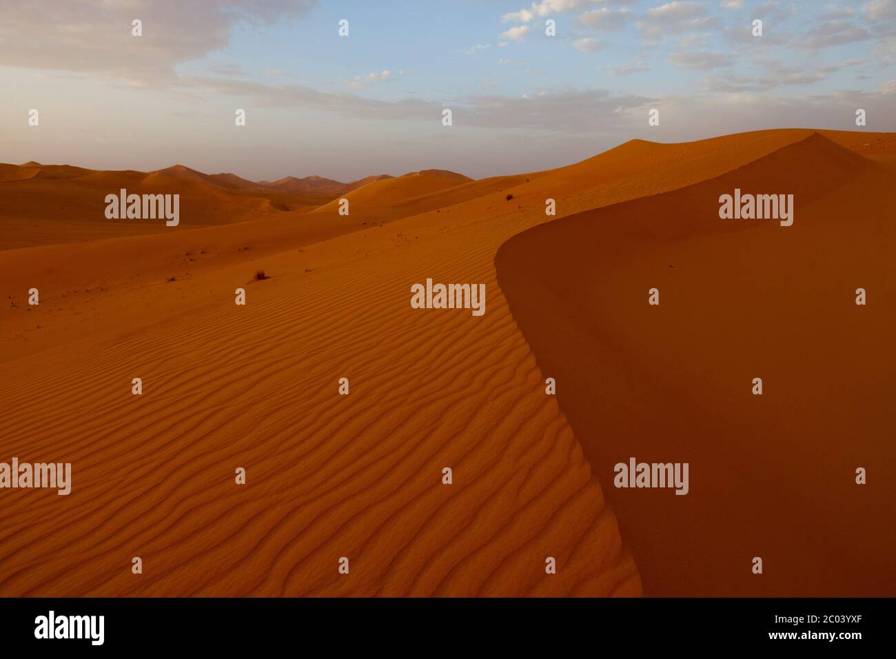 Sand dunes in the Sahara desert, North Africa. Stock Photo