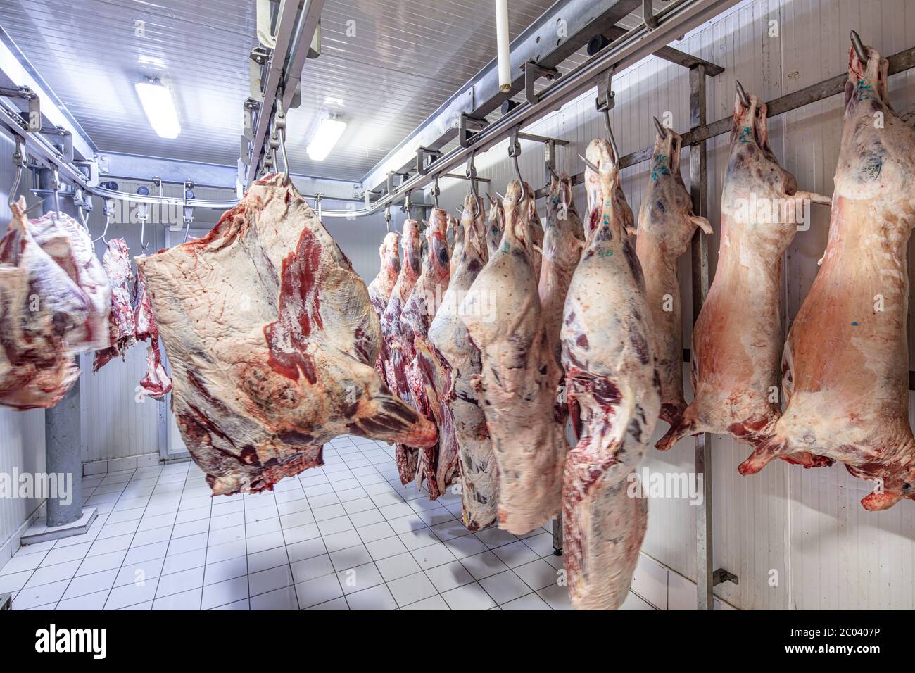 Raw meat hang freezer hi-res stock photography and images - Alamy