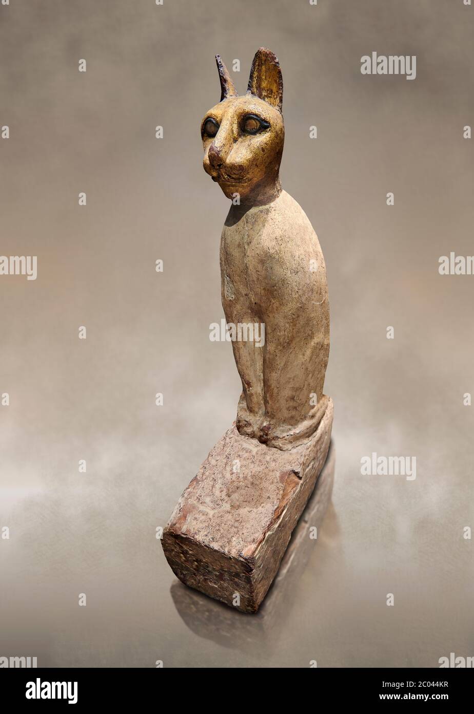 Ancient Egyptian Cat Sarcophagus conating cat mummy, Late to Plolomaic Period, (722-30 BC), Egyptian Museum, Turin.Old Fund Cat 2361.  Animal mummific Stock Photo