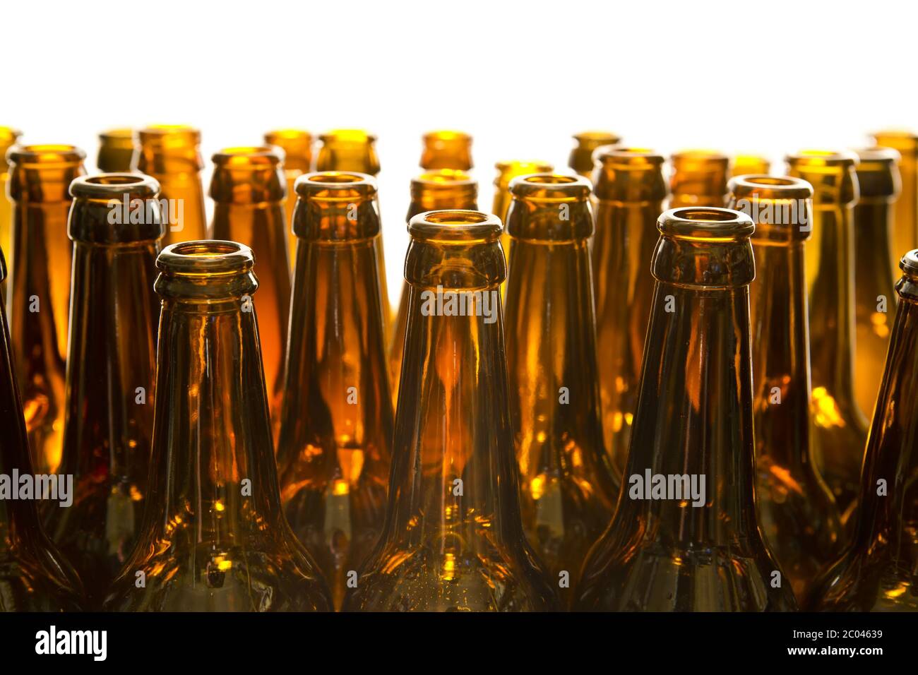 Empty glass beer bottles Stock Photo