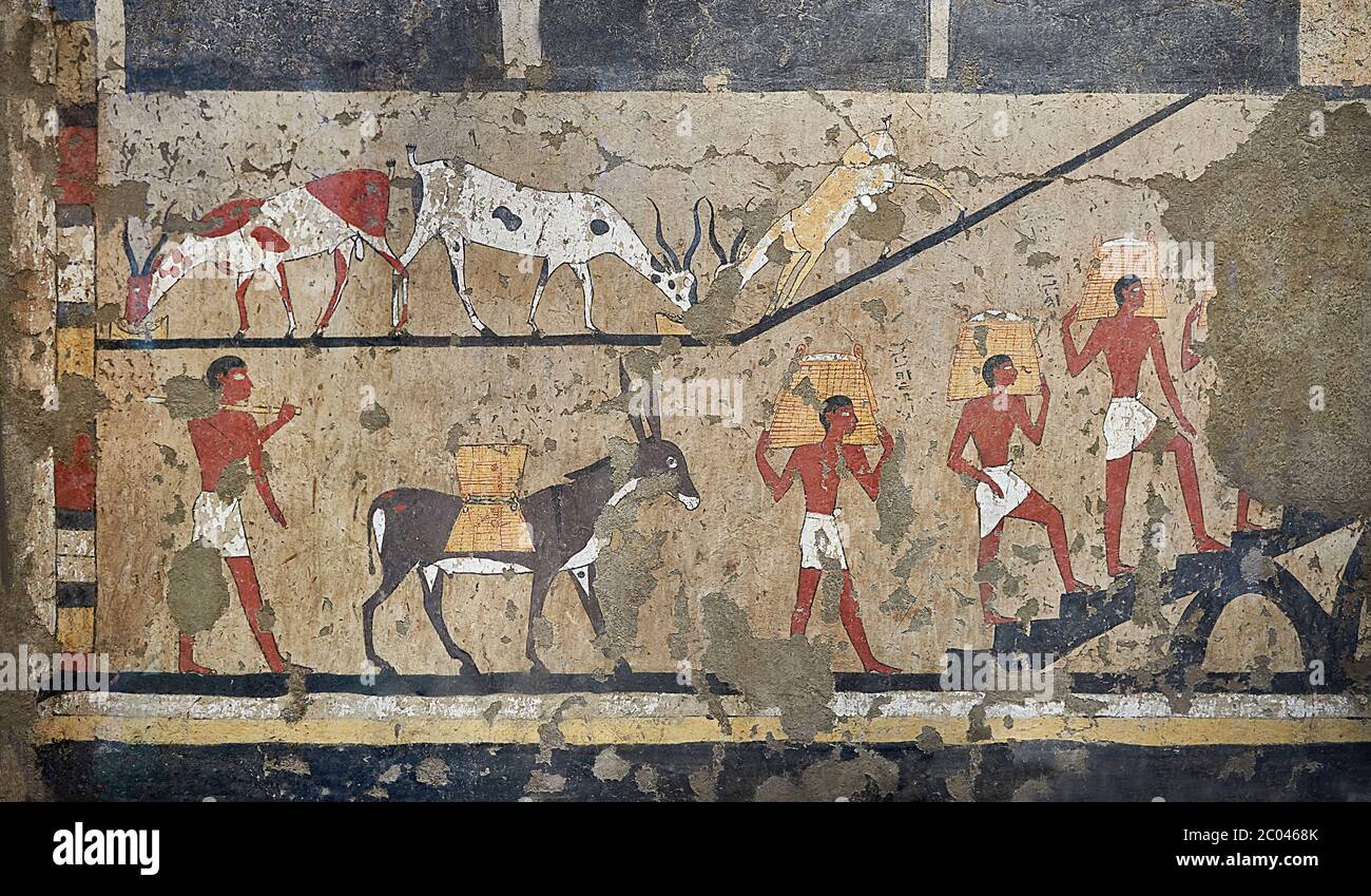 Ancient Egyptian wall paintings of the Tomb of Iti and Neferu, Ritual slaughter scene Scene, Thebes, First Intermediate Period (2118 – 1980BC). Egypti Stock Photo