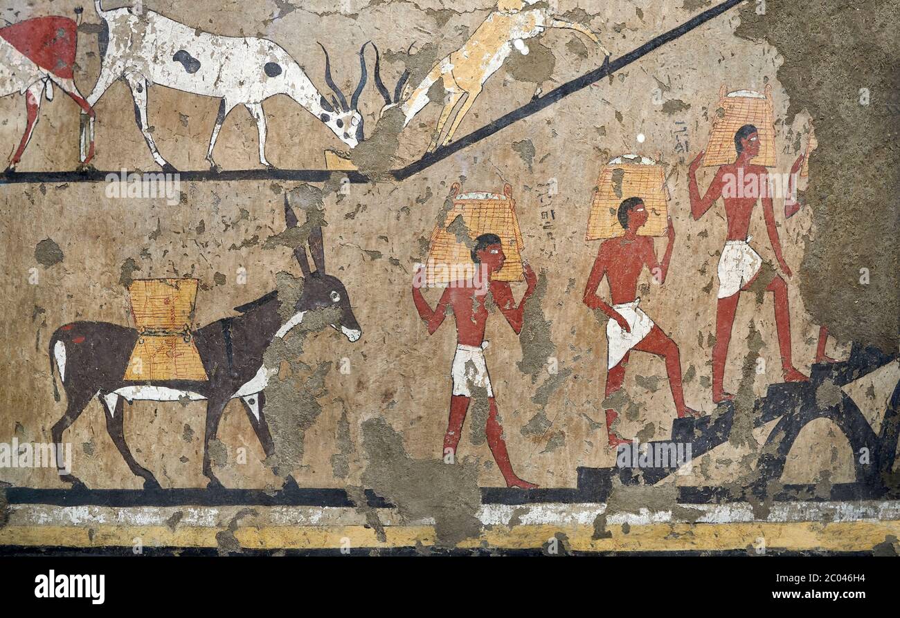 Ancient Egyptian wall paintings of the Tomb of Iti and Neferu, Ritual slaughter scene Scene, Thebes, First Intermediate Period (2118 – 1980BC). Egypti Stock Photo