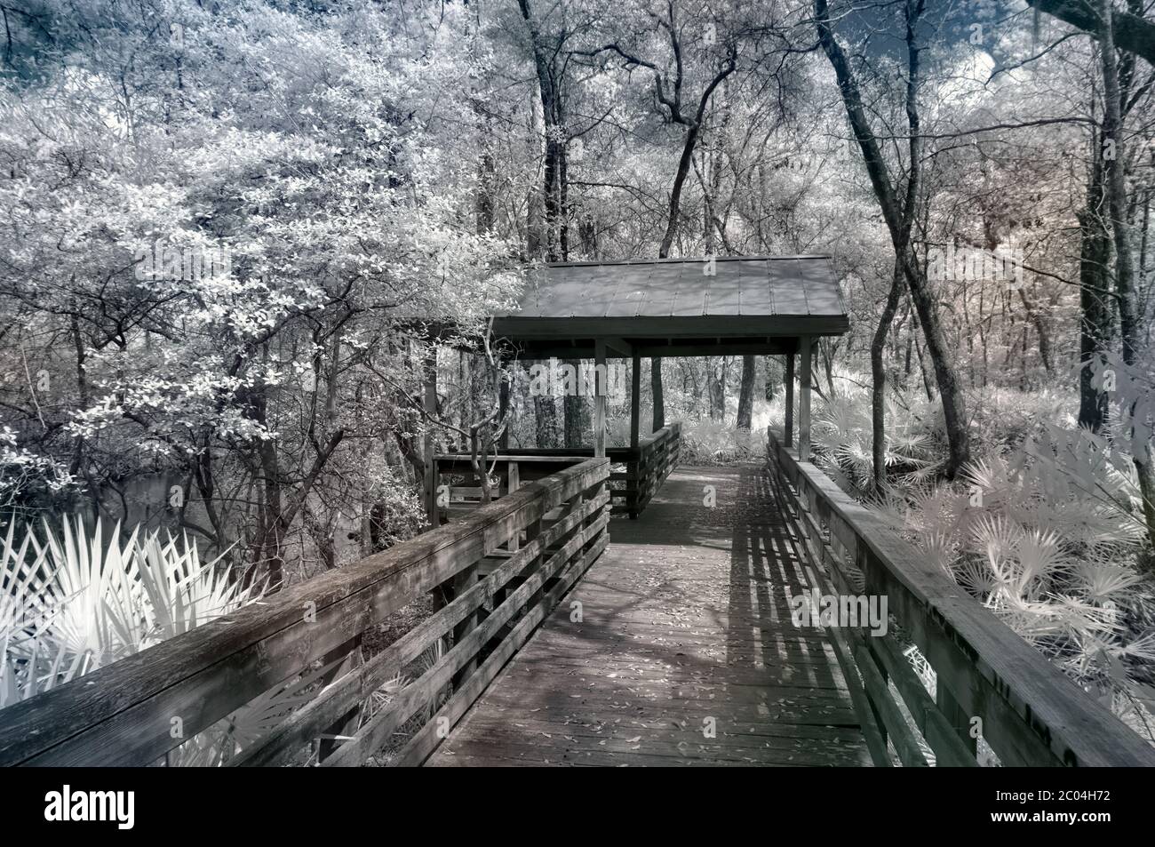 O'Leno State Park & River Rise Florida State Park in Infrared Stock Photo