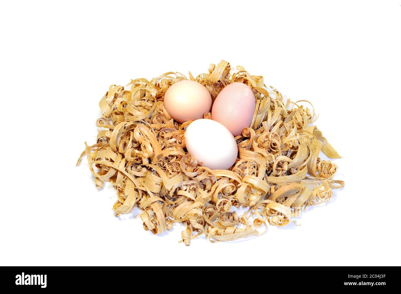 Chicken eggs in a nest of wood shavings Stock Photo - Alamy