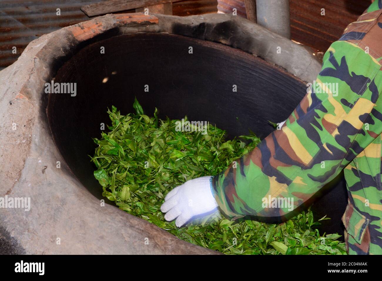 pan fired tea,roasting in a pan ,tea leaves are roasted early in