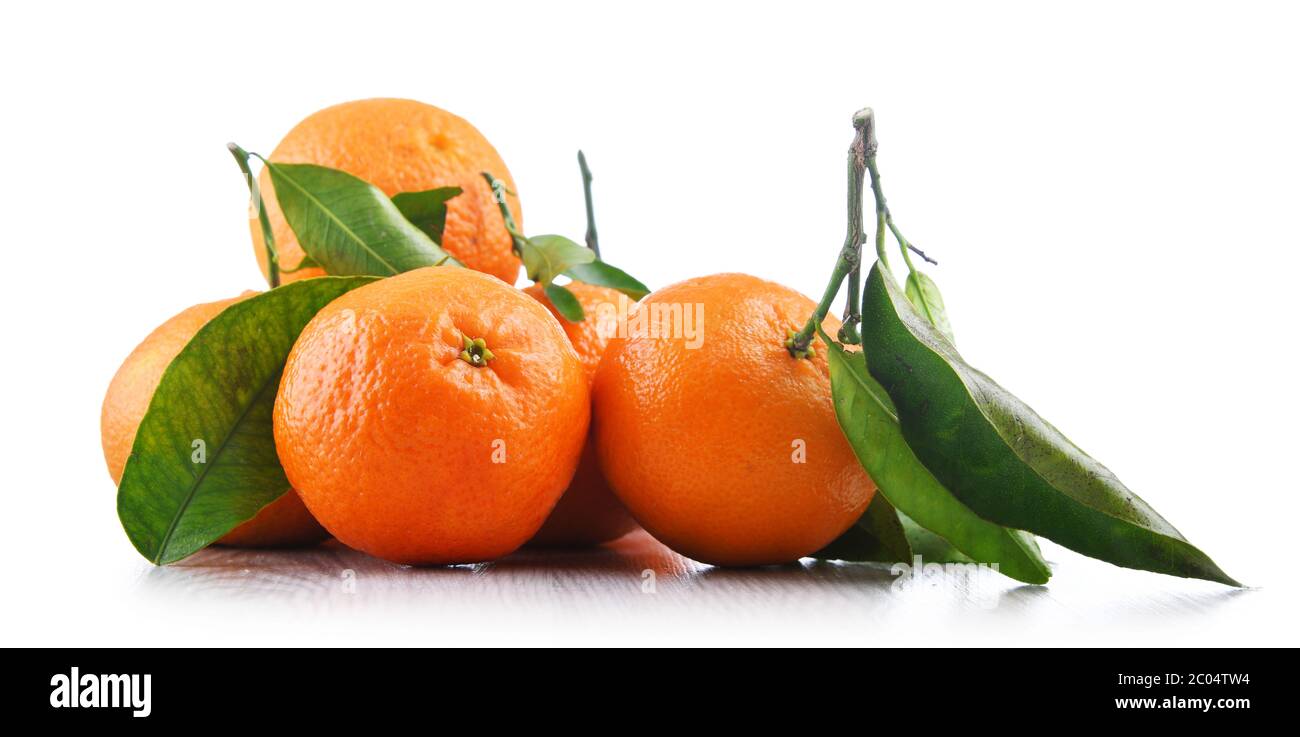 Composition with tangerines isolated on white background. Stock Photo