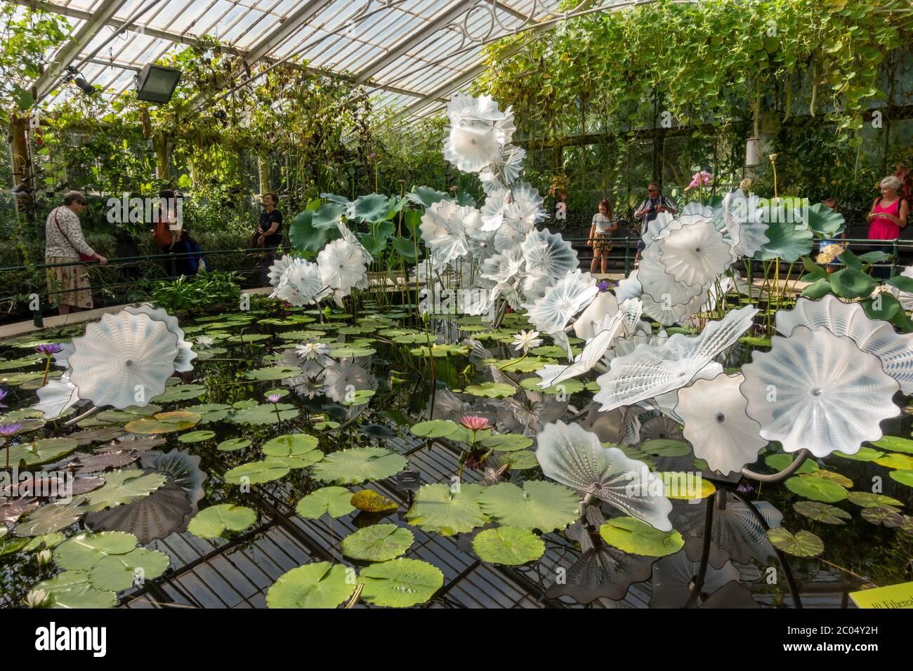 'Ethereal White Persian Pond', a glass sculpture by Dale Chihuly  in the Waterlily House, Royal Botanic Gardens, Kew, Richmond Upon Thames, UK. Stock Photo