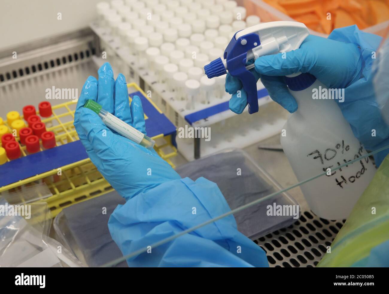 Scientist working lighthouse laboratory queen elizabeth university