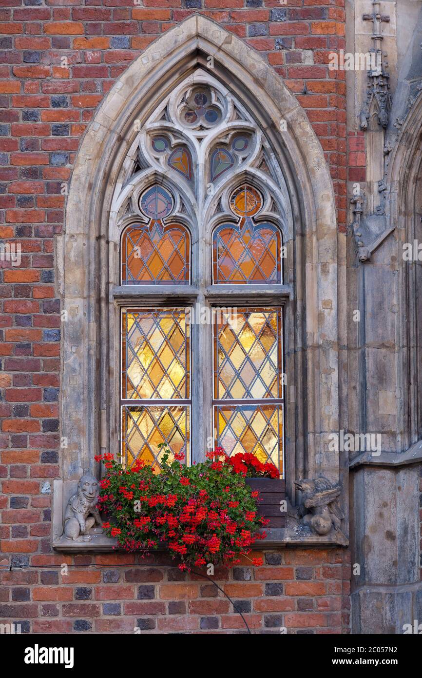 Flowers and mullioned window, Town Hall, Market Square, Woclaw Stock Photo