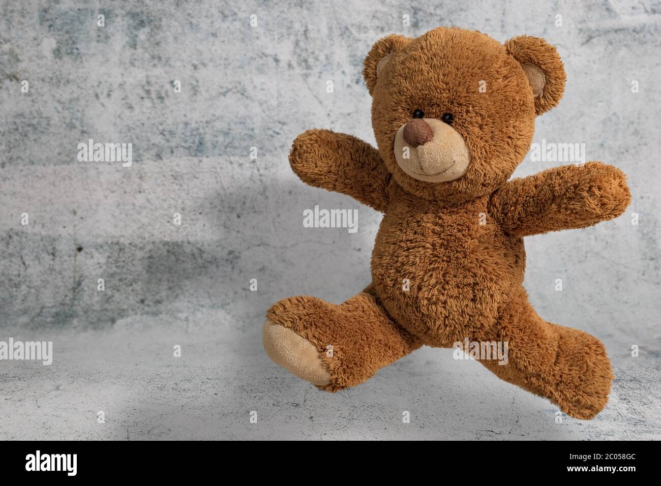 cute little teddy