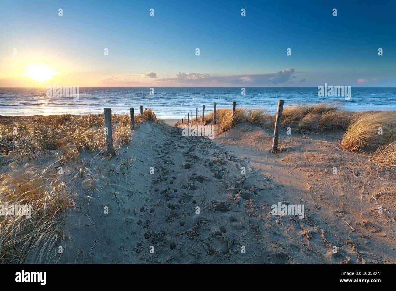 Path on sand to ocean beach Stock Photo - Alamy